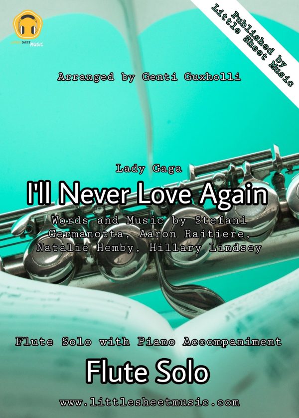 Lady Gaga - I'll Never Love Again (Flute Solo)