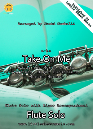 a-ha - Take On Me (Flute Solo)