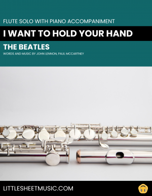 The Beatles - I Want To Hold Your Hand (Flute Solo)